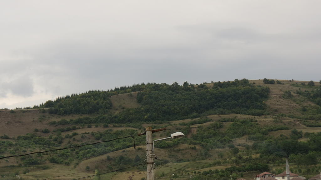 Brad  Pensiunea Cetina מראה חיצוני תמונה